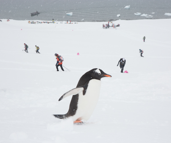 2016 4Deserts Antarctica Day 5